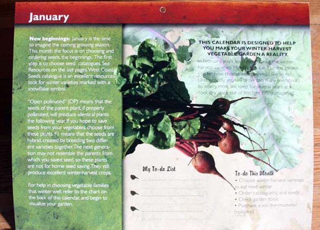 winter harvest vegetables calendar 2010
