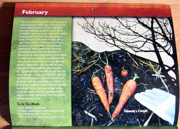 winter harvest vegetables calendar 2010