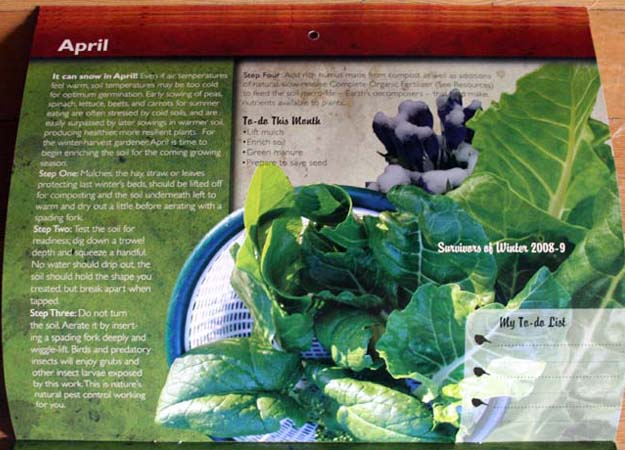 winter harvest vegetables calendar 2010