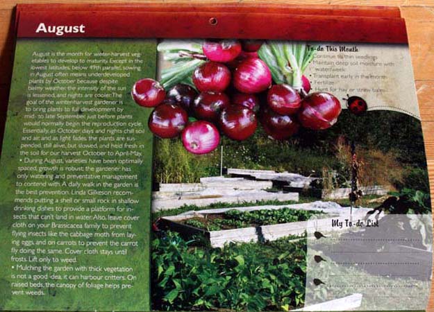 winter harvest vegetables calendar 2010