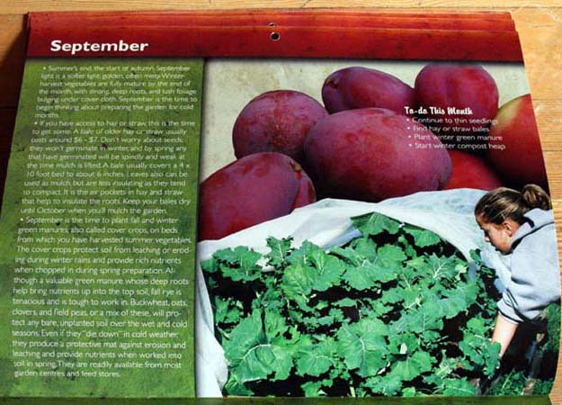 winter harvest vegetables calendar 2010