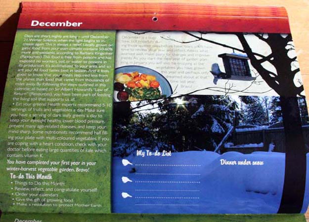 winter harvest vegetables calendar 2010