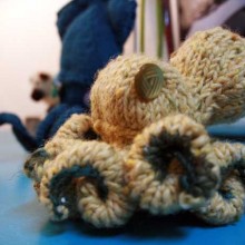 octo octo