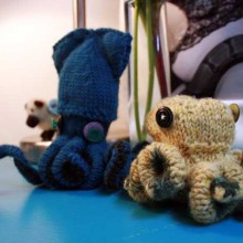 octosquid octosquid
