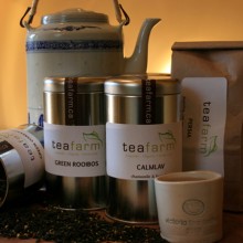 teafarm2 teafarm2