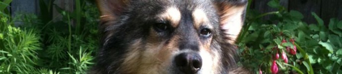 palmer-blog-tn