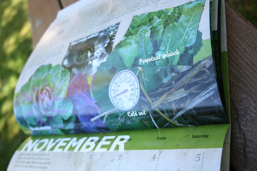winter harvest vegetables calendar 2011