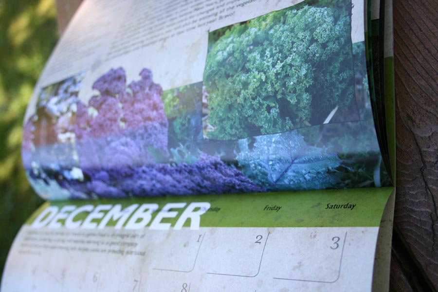 winter harvest vegetables calendar 2011