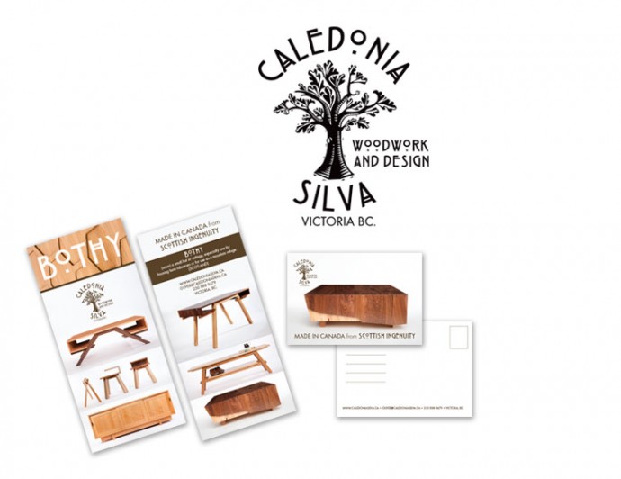 Logo design for caledonia silva woodwork and design