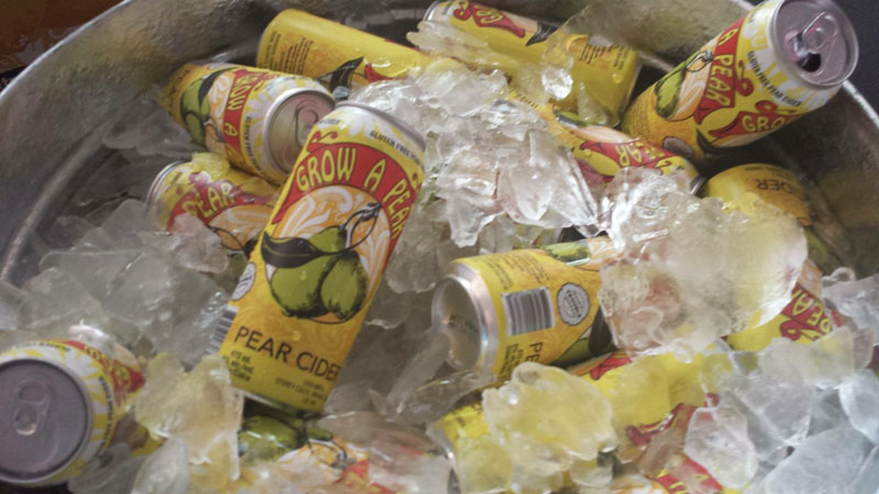 Design and illustration for Double Trouble Brewing's Grow a Pear