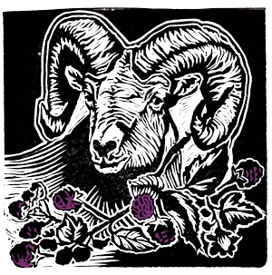 Linocut and label design for deVine Spirits Black Ram