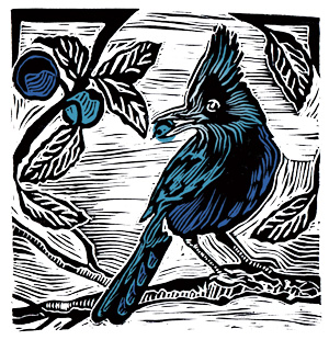 Linocut and label design for deVine Spirits Sloe Gin