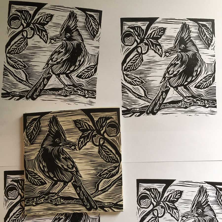 Linocut block print of the Steller's Jay for Sloe Gin